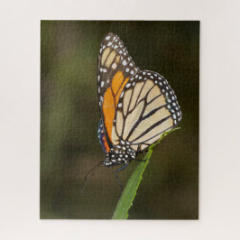 Quebra-cabeça Monarca empoleirada numa folha