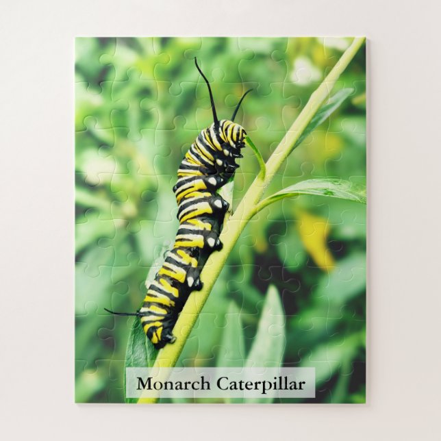 Quebra-cabeça Monarch Butterfly Caterpillar on Swan Plant 56 Pcs (Vertical)