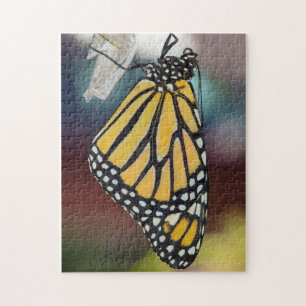 Quebra-cabeça Monarch Butterfly Drying Wings Puzzle