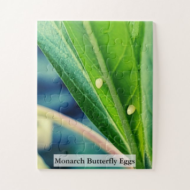 Quebra-cabeça Monarch Butterfly Eggs 30Pcs (Vertical)