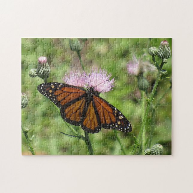 Quebra-cabeça Monarch Butterfly on Pink Thistle Jigsaw Puzzle (Horizontal)