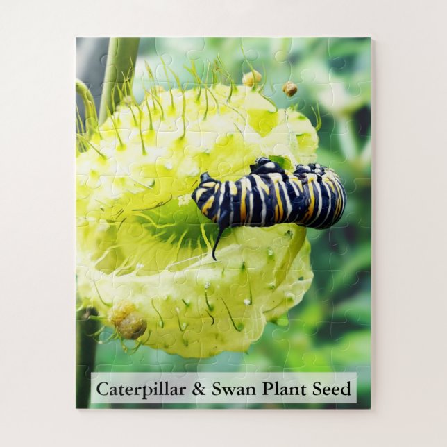 Quebra-cabeça Monarch Caterpillar & Swan Plant Seed 56 Pcs (Vertical)