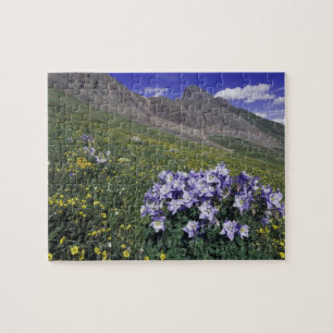 Quebra-cabeça Montanhas e flores silvestres em prado alpino, Azu