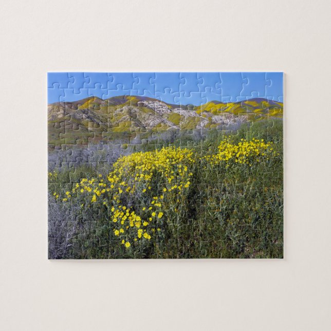 Quebra-cabeça Monumento Nacional Carrizo Plain (Horizontal)