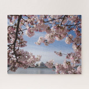 Quebra-cabeça Monumentos Jefferson Memorial Cherry Blossoms