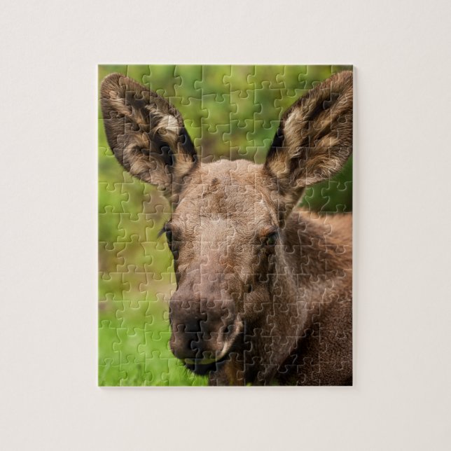 Quebra-cabeça Moose Curiosa (Vertical)