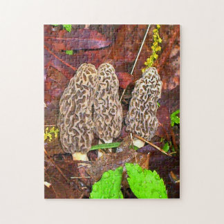 Quebra-cabeça Morel Mushroom