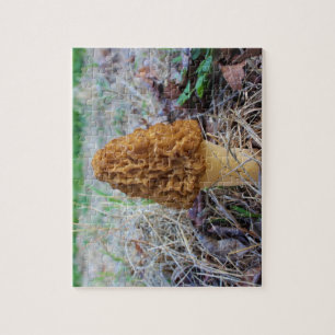Quebra-cabeça MOREL MUSHROOM
