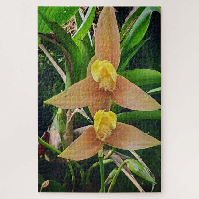 Quebra-cabeça Morning Calm: Blush Petals in Gentle Focus (Vertical)