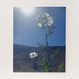 Quebra-cabeça Morning Calm: Cream Blossom in Translucent Light