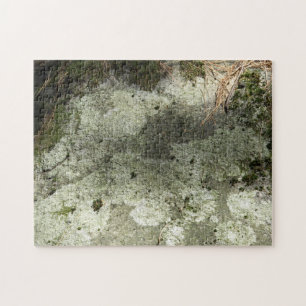 Quebra-cabeça Moss e Lichen no Rock