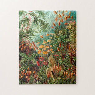 Quebra-cabeça Moss (Muscinae) por Haeckel