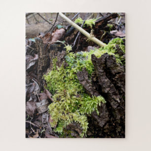 Quebra-cabeça Mosses