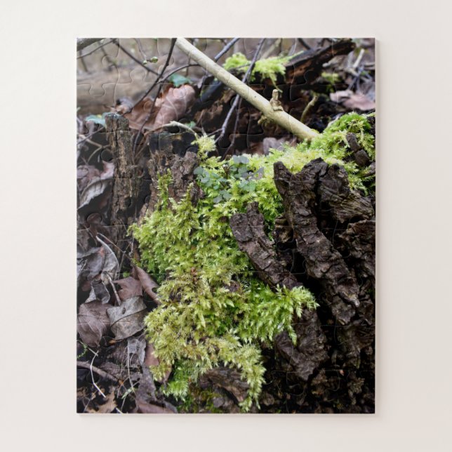 Quebra-cabeça Mosses (Vertical)