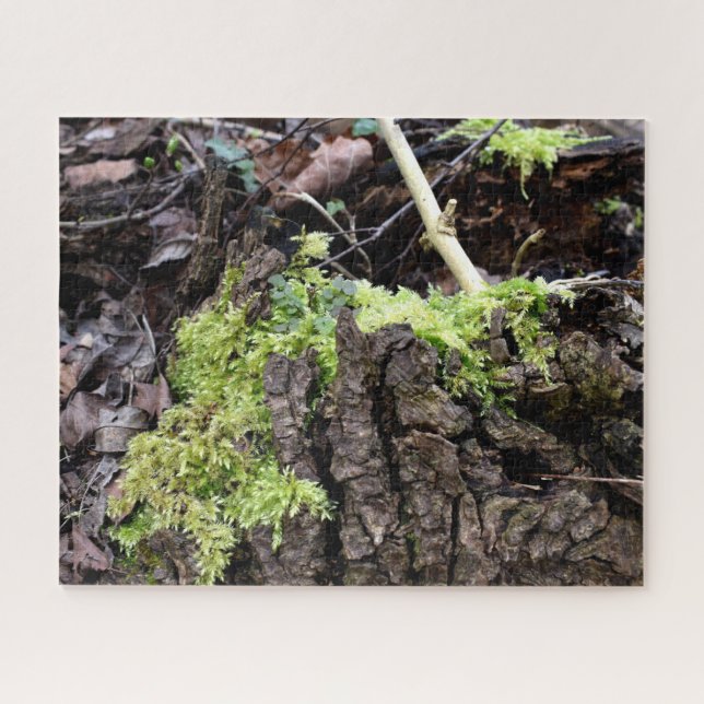 Quebra-cabeça Mosses (Horizontal)