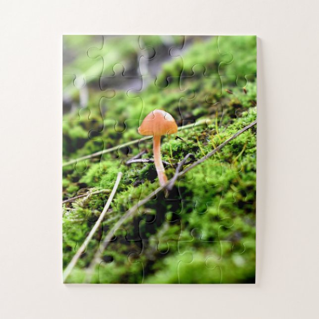 Quebra-cabeça Mosses e Lichens com um pequeno Cogumelo (Vertical)