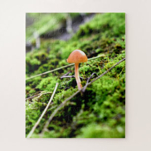 Quebra-cabeça Mosses e Lichens com um pequeno Cogumelo