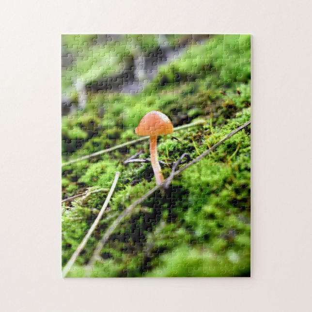 Quebra-cabeça Mosses e Lichens com um pequeno Cogumelo (Vertical)