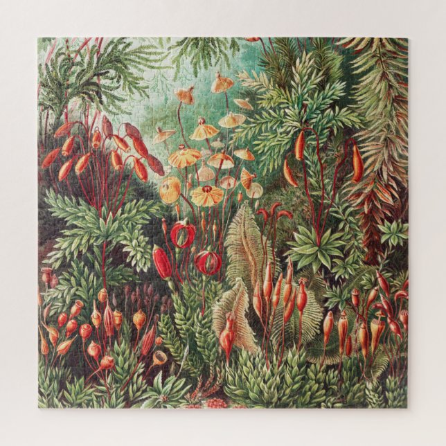 Quebra-cabeça Mosses, Muscinae Laubmoose por Ernst Haeckel (Vertical)