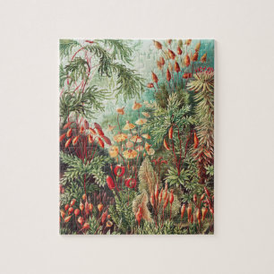 Quebra-cabeça Mosses, Muscinae Laubmoose por Ernst Haeckel