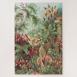 Quebra-cabeça Mosses, Muscinae Laubmoose por Ernst Haeckel