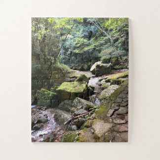 Quebra-cabeça Mossy Mountain Stream in a Japanese Forest Jigsaw