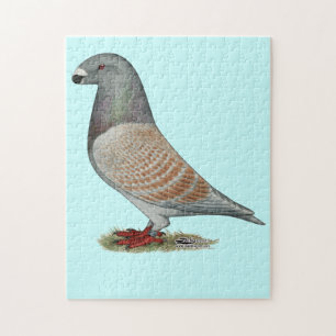 Quebra-cabeça Mostrar Opção Recessiva do Racer