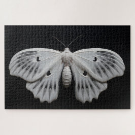 Quebra-cabeça Moth