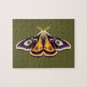 Quebra-cabeça Moth Insect Art Goblincore Saturnia Witchy Green