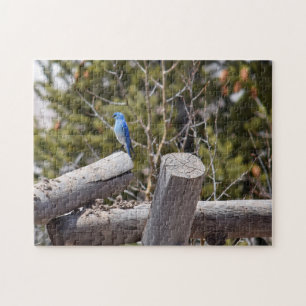 Quebra-cabeça Mountain Bluebird - 11x14 - 252 pcs.