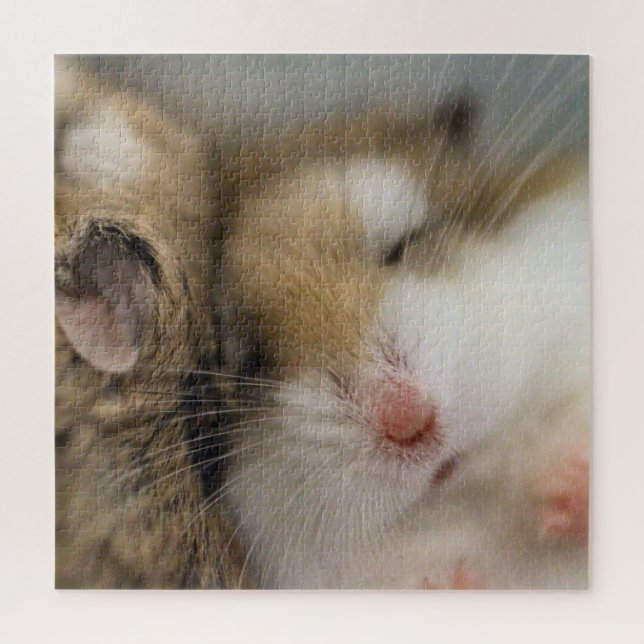 Quebra-cabeça Mover para o Bob (Vertical)