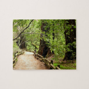 Quebra-cabeça Muir Woods Path II - Fotografia natural