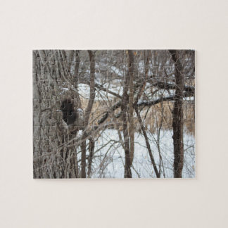 Quebra-cabeça muito difícil da cena do inverno da
