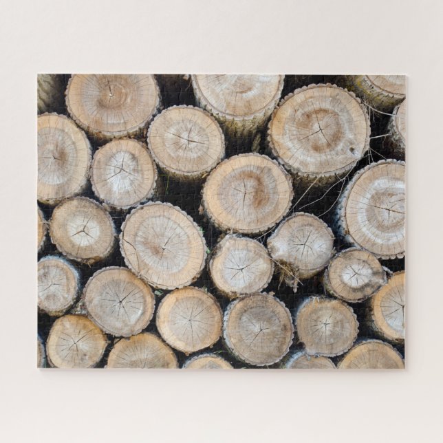 Quebra-cabeça muitos registros (Horizontal)