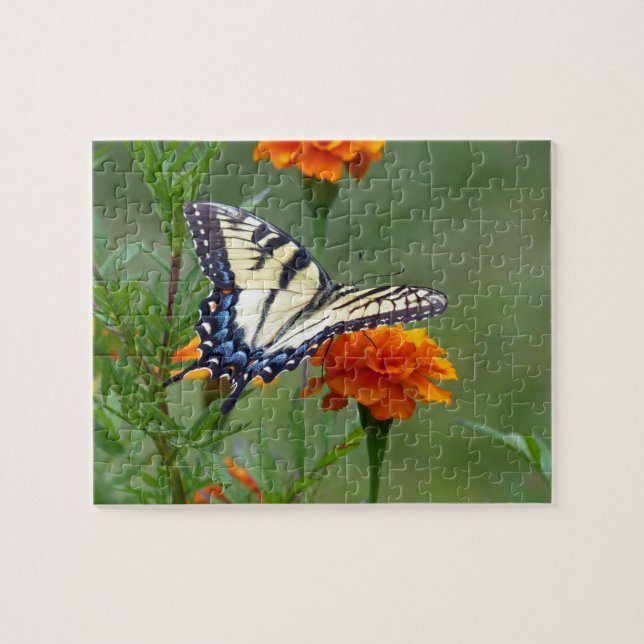 Quebra-cabeça Mulher amarela Tigre-oriental (Horizontal)