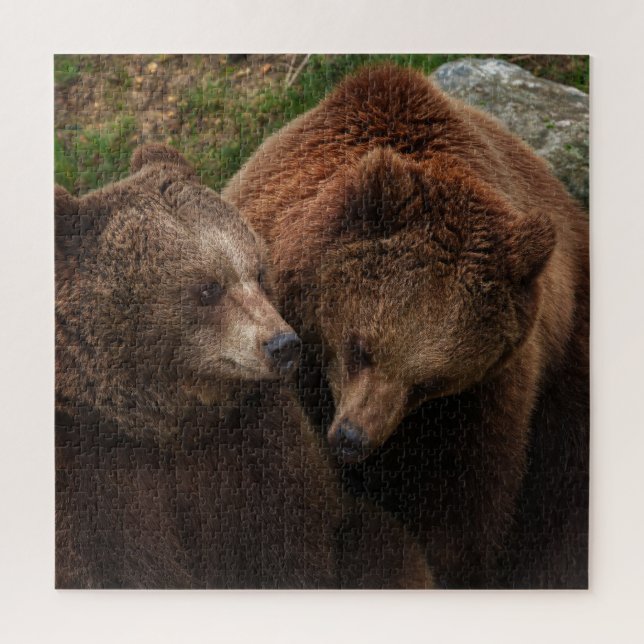Quebra-cabeça Mulher Do Urso Castanho A Olhar No Homem (Vertical)