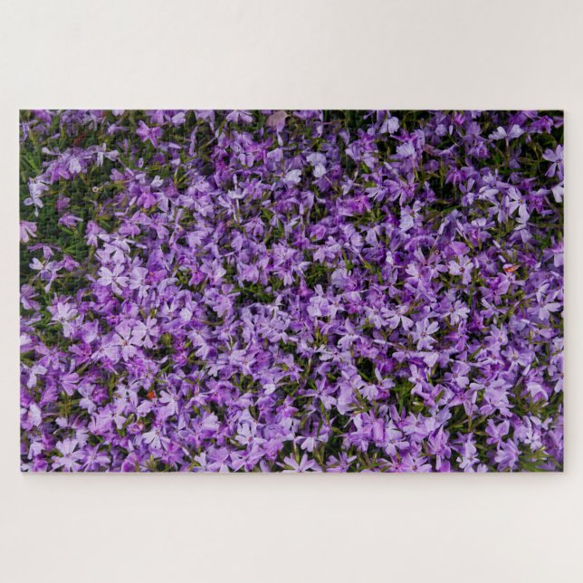 Quebra-cabeça Murmurios Violeta em Flor – 1014 Peças de Phlox Ro (Horizontal)