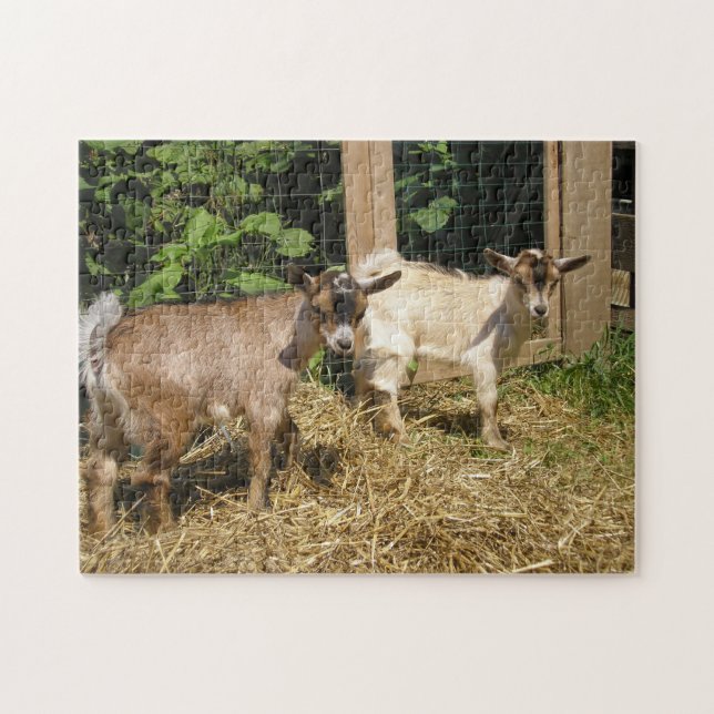 Quebra-cabeça "Murphy and Corky" (Horizontal)