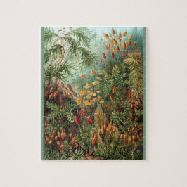 Quebra-cabeça Muscinae - Ernst Haeckel 8x10