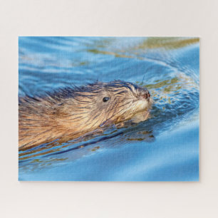 Quebra-cabeça Muskrat na Reserva Ecológica da Fazenda de Vassar