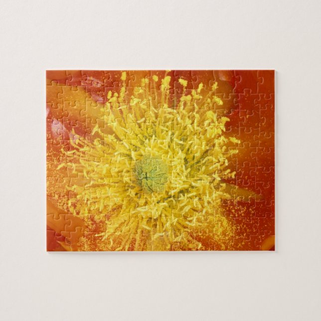 Quebra-cabeça N.A., EUA, Arizona, Tucson, Sonora Desert 3 (Horizontal)