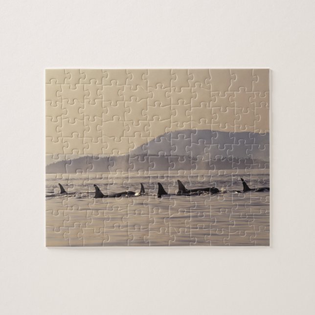 Quebra-cabeça N.A., EUA, Washington, San Juan Islands Orca (Horizontal)