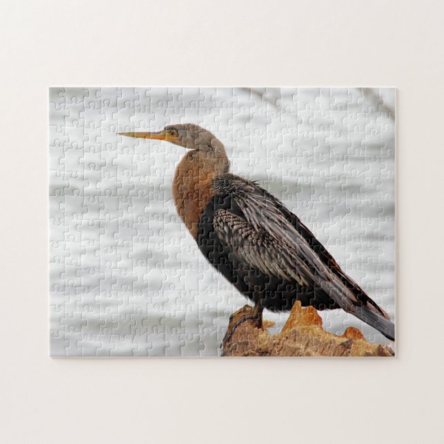 Quebra-cabeça Na Pesquisa (Horizontal)