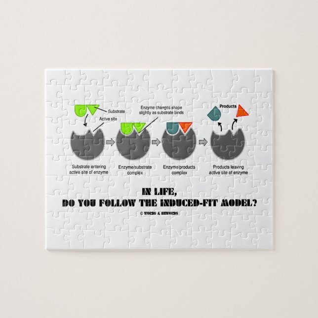 Quebra-cabeça Na vida, você segue o modelo do Induzir-Ajustado? (Horizontal)