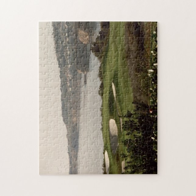 Quebra-cabeça Nacional do trunfo (Vertical)