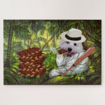 Não roube as minhas costelas! Cachorro Maltês Engr