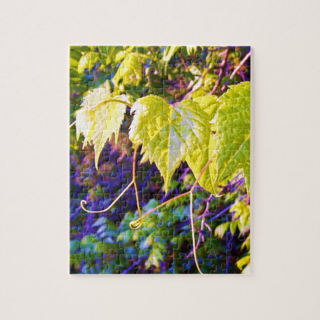 Quebra-cabeça Napa Valley (Vertical)