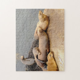 Quebra-cabeça Nápoles Leões do Mar do Bebê