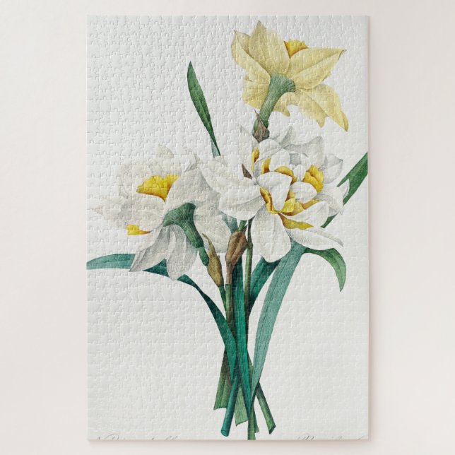Quebra-cabeça Narciso Duplo, Pierre-Joseph Redouté, 1827 (Vertical)