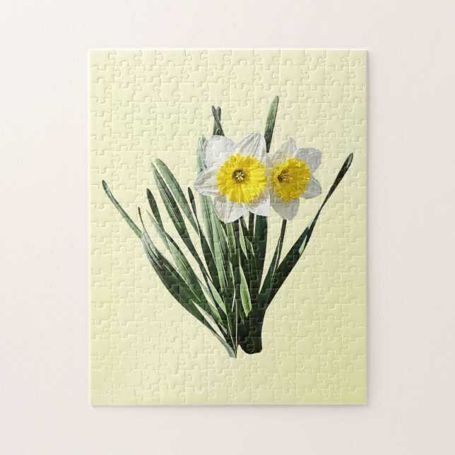 Quebra-cabeça Narciso Tímido (Vertical)